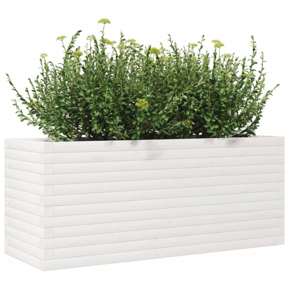 Jardinieră Grădină Albă - Lemn Masiv de Pin - 110x40x45,5 cm