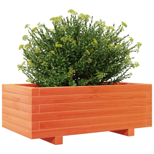 Jardinieră Grădină Lemn Masiv Pin - Maro Ceruit 70x40x26,5 cm