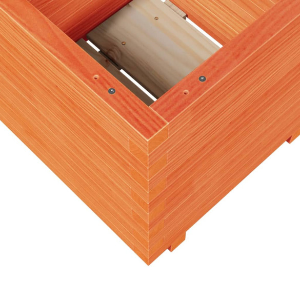 Jardinieră Grădină Lemn Masiv Pin - 50x50x50 cm | Livrare Gratuită