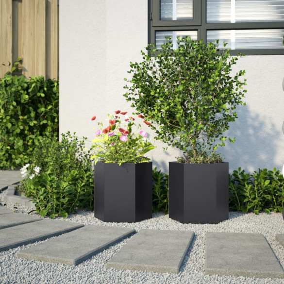 Jardiniere Grădină Oțel Hexagonal - 2 bucăți Negru