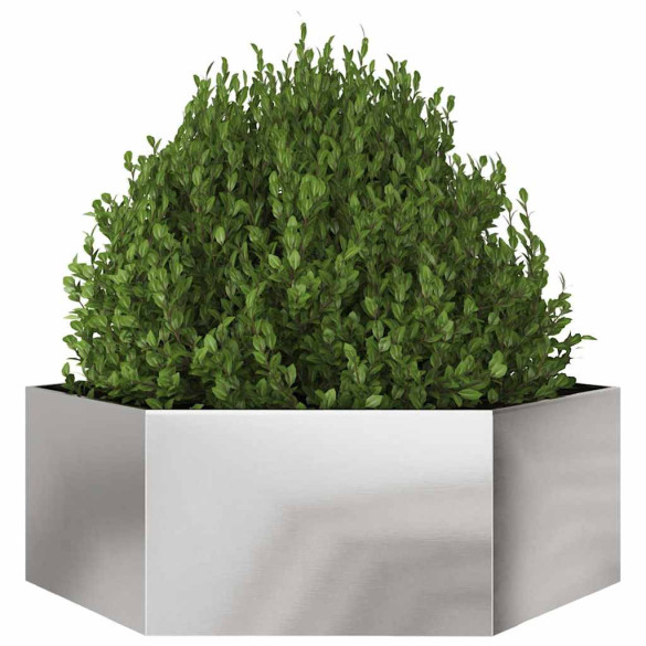 Jardinieră Oțel Inoxidabil Hexagonal 138x120x45 cm | Livrare Gratuită
