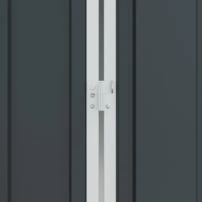 Colivie Păsări Exterior - Oțel Antracit 310x215x247 cm