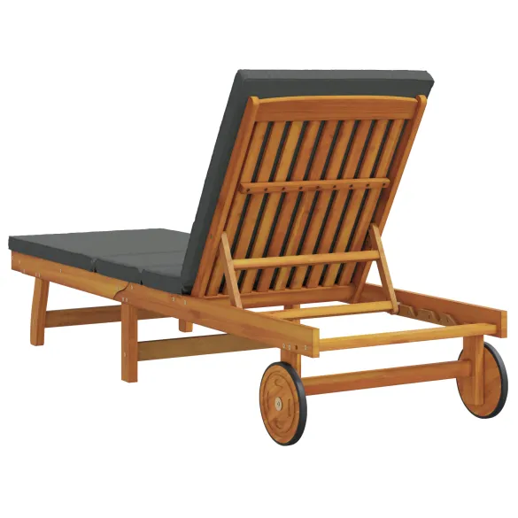 Șezlong cu Roți și Perne din Lemn Masiv - Gri Închis