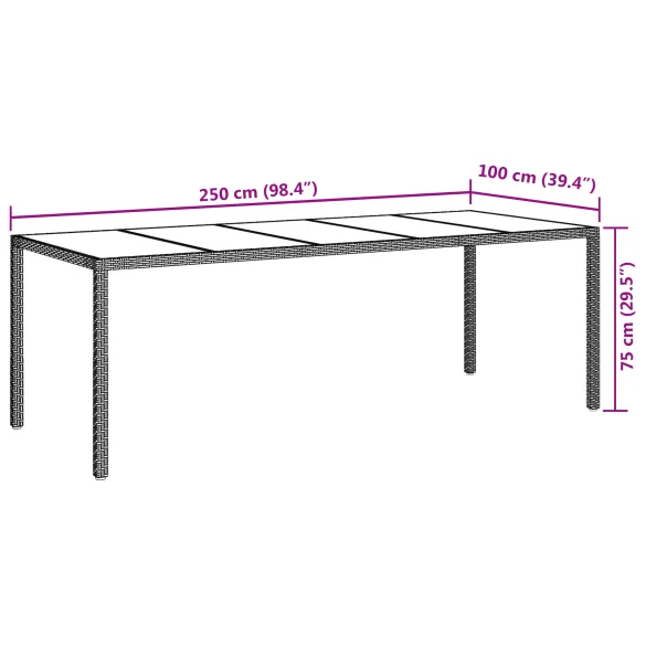 Masă Dining Grădină Gri Poliratan 250x100 cm | vidaXL