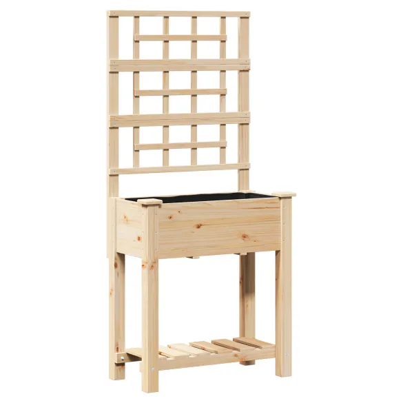 Ghiveci Grădină cu Trellis și Raft din Lemn de Pin | Comandă Acum