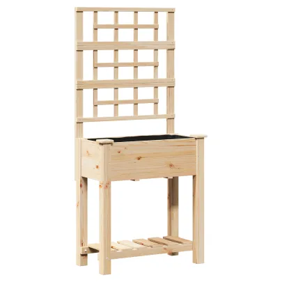 Ghiveci Grădină cu Trellis și Raft din Lemn de Pin | Comandă Acum