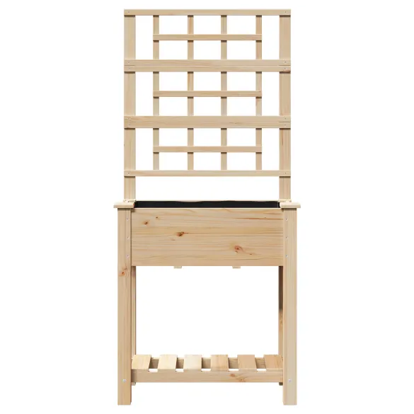 Ghiveci Grădină cu Trellis și Raft din Lemn de Pin | Comandă Acum