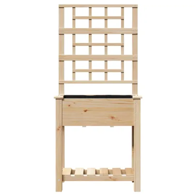 Ghiveci Grădină cu Trellis și Raft din Lemn de Pin | Comandă Acum