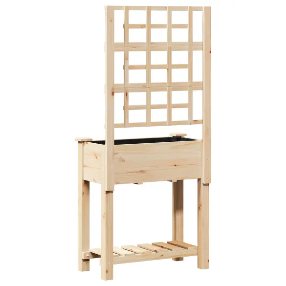 Ghiveci Grădină cu Trellis și Raft din Lemn de Pin | Comandă Acum