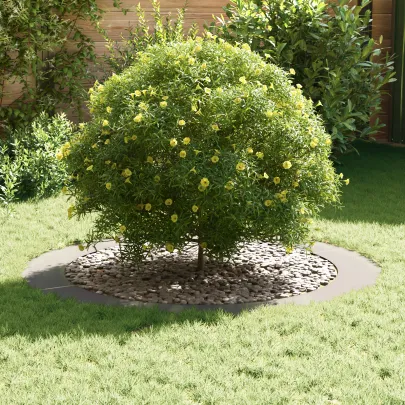 Ghiveci Oțel Inoxidabil Mare pentru Grădină și Balcon