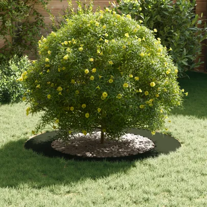 Ghiveci Ceramic Verde Măsliniu - Livrare Gratuită