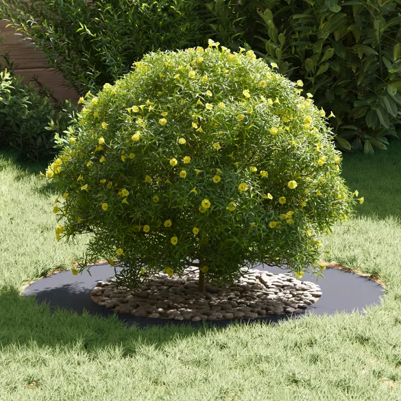 Ghiveci Plastic Antracit Mare pentru Grădină și Balcon