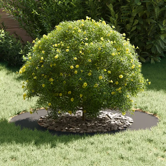 Ghiveci Plastic Negru Rotund pentru Interior/Exterior