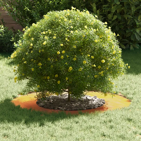 Ghiveci Oțel Corten Rustic - Set 5 Bucăți