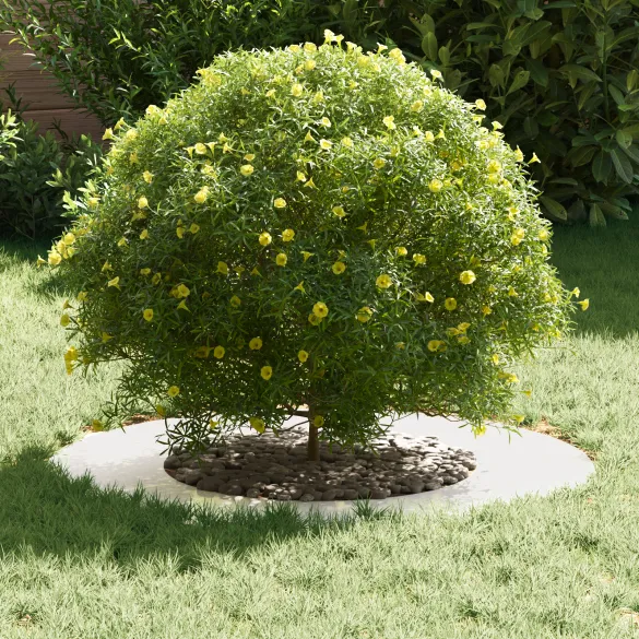 Ghiveci Inoxidabil Mare | Decor Modern Interior/Exterior