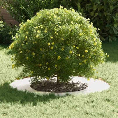 Ghiveci Inoxidabil Mare | Decor Modern Interior/Exterior