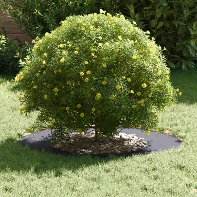 Set Ghivece Plastice Antracit - Rezistent Interior/Exterior