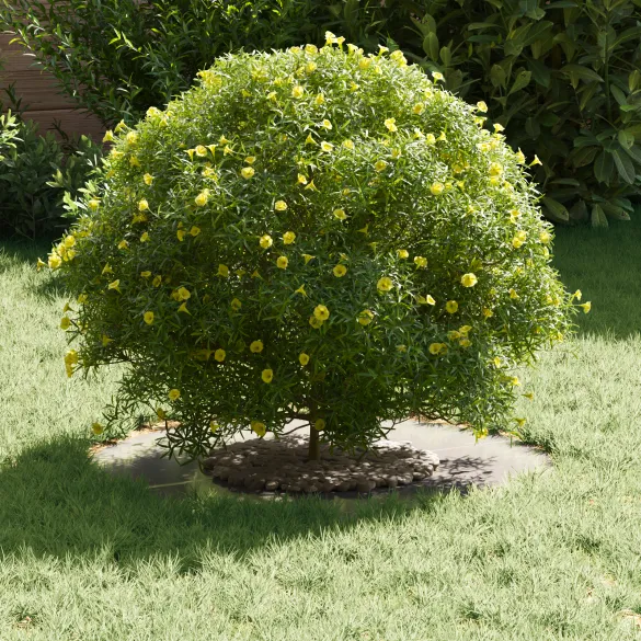 Ghiveci Inoxidabil Modern pentru Plante - Livrare Gratuită