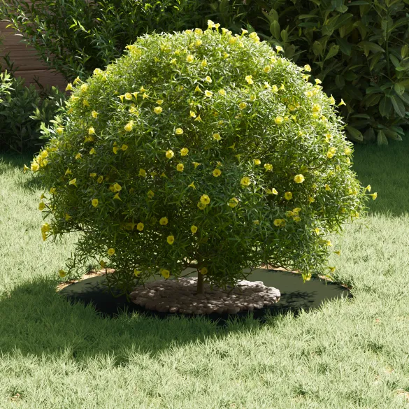 Ghiveci Verde Oliv Plastic pentru Interior/Exterior - 5 buc