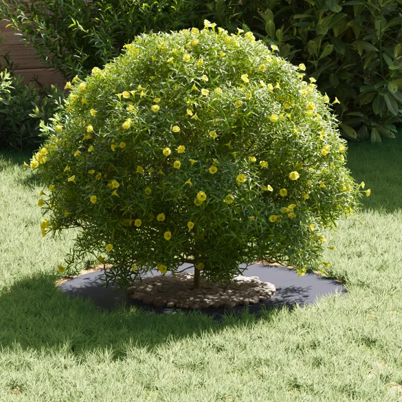 Ghiveci Rășină Antracit - Set 5 bucăți pentru Interior/Exterior