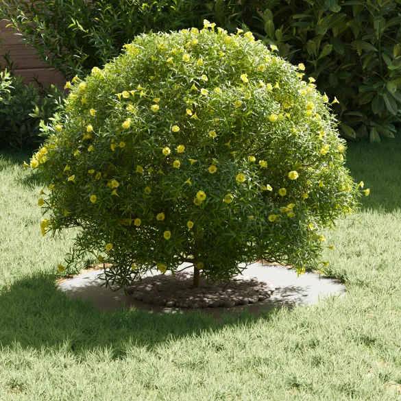 Ghiveci Plastic Alb Rotund Mare - Interior/Exterior