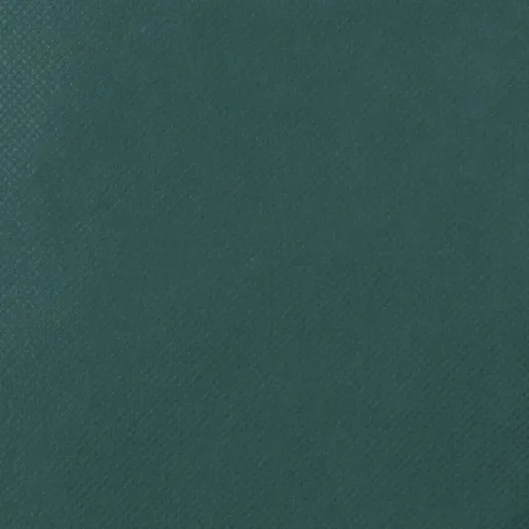 Huse Protecție Plante cu Fermoar - 10 bucăți | Livrare Gratuită