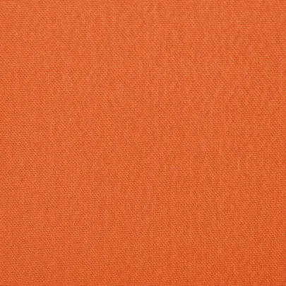 Copertină laterală pliabilă terasă cărămiziu 300x200 cm