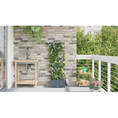 Jardiniere cu Sistem Irigare Auto - Livrare Gratuită