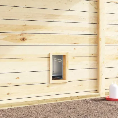 Cuib Găini Oțel Galvanizat | Livrare Gratuită 7-9 Zile