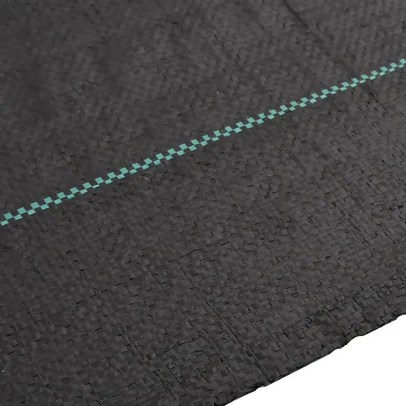 Membrană antiburuieni negru 2x50m PP | Livrare gratuită