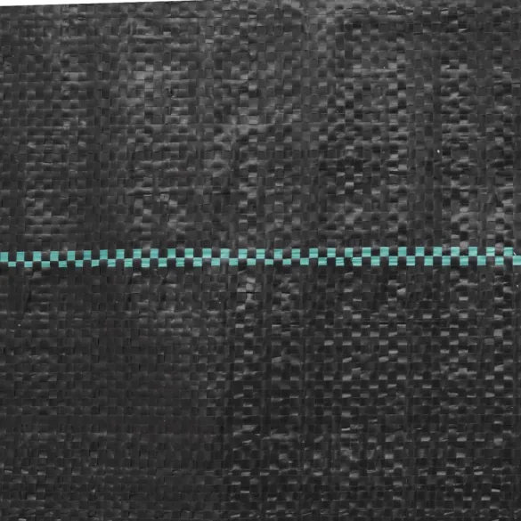 Membrană antiburuieni negru 2x50m PP | Livrare gratuită