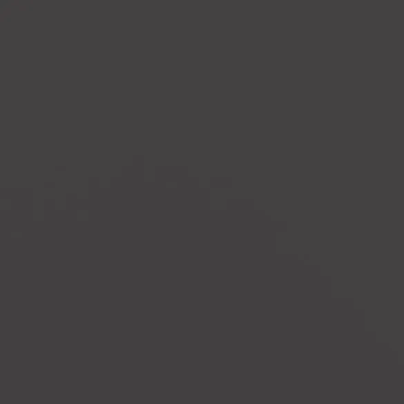 Jardinieră Oțel Negru pentru Grădină și Balcon