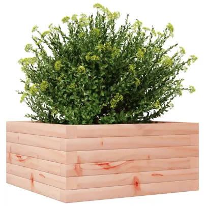 Jardinieră Lemn Masiv Douglas - 50x50x23 cm - Gratis