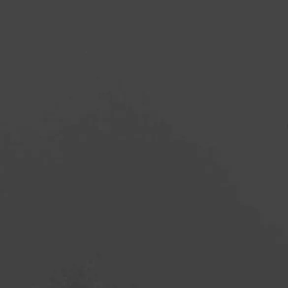 Borduri Gazon Oțel Laminat la Rece 10x103 cm | Set 10 bucăți