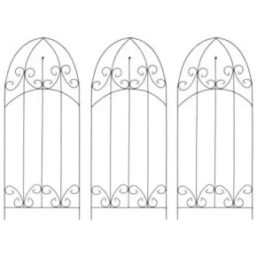 Suporturi Plante Cățărătoare - 3 buc., Negru, Fier - 40x100 cm