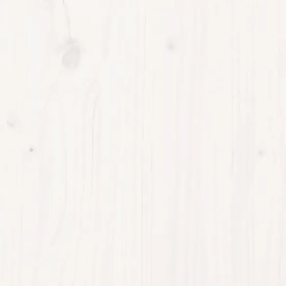 Pat Ridicat Grădină Alb Lemn Pin | Livrare Gratuită