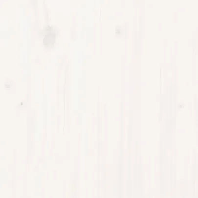 Pat Ridicat Grădină Alb Lemn Pin | Livrare Gratuită