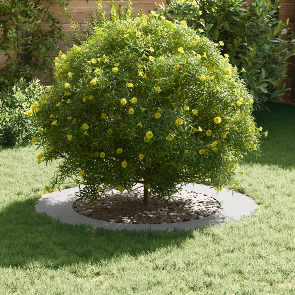 Ghiveci Alb Plastic Mare 250L pentru Plante | Comandă Acum