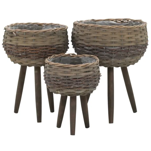 Set Jardiniere Răchită cu Căptușeală PE | Decor Grădină