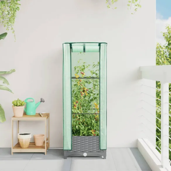 Strat Înălțat cu Seră Ratan - Protecție Plantă | Livrare Gratuită