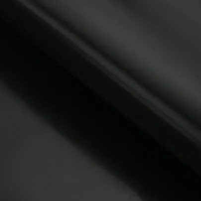 Baraj Rădăcini cu Șine 5m Negru | Protecție Iarbă