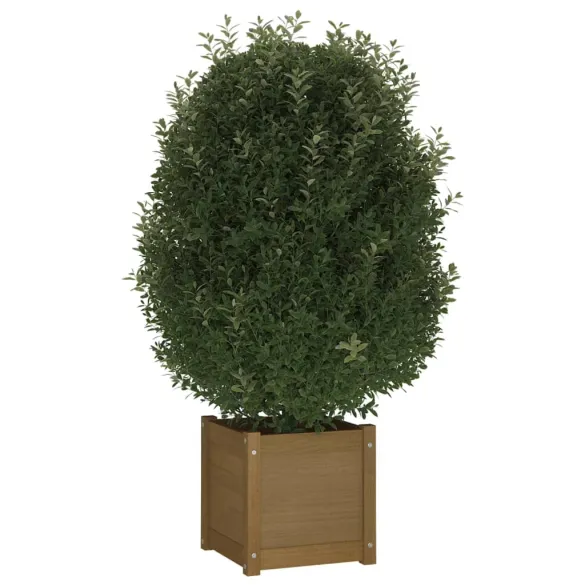 Jardinieră Lemn Masiv Pin 40x40x40 cm - Livrare Gratuită