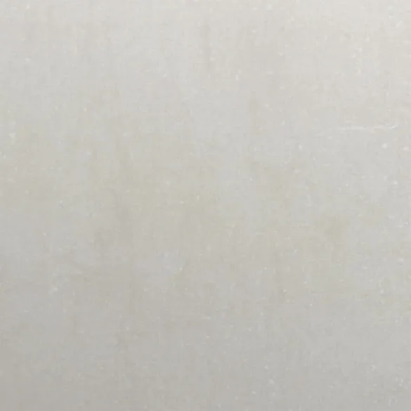 Strat Ridicat Grădină Oțel Inoxidabil 100x100 cm - Livrare Gratuită