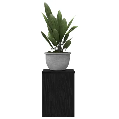 Suporturi Plante Stejar Negru - Decor Modern Interior/Exterior