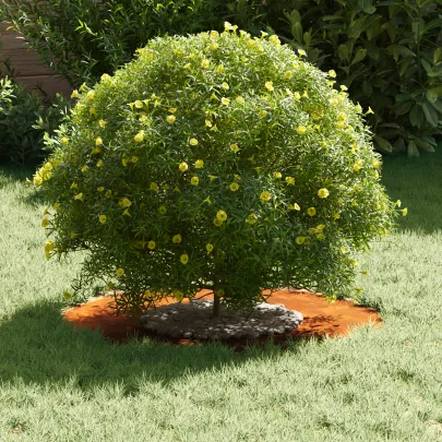 Ghiveci Oțel Corten Mare cu Inserții Decorative | Livrare Gratuită