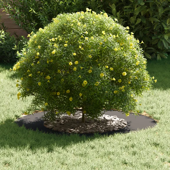 Ring Metalic Ghiveci Negru 70 cm | Livrare Gratuita