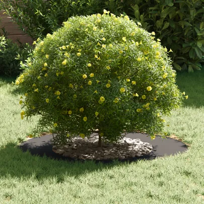 Ring Metalic Ghiveci Negru 70 cm | Livrare Gratuita