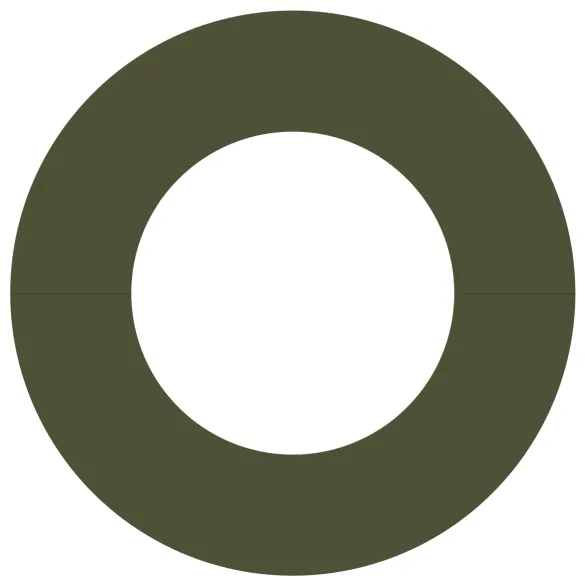 Ghiveci Plastic Verde Oliv Mare Decorat | Interior/Exterior