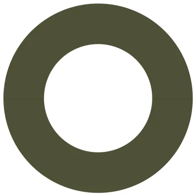 Ghiveci Plastic Verde Oliv Mare Decorat | Interior/Exterior