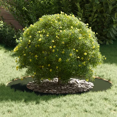 Ghiveci Ceramic Verde Olive - Decor Interior/Exterior